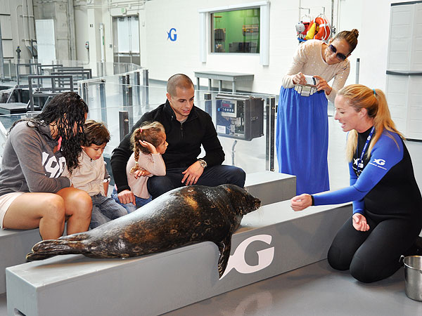 Jennifer Lopez & Casper Smart Take Her Kids to Georgia Aquarium| Stars and Pets, Casper Smart, Jennifer Lopez