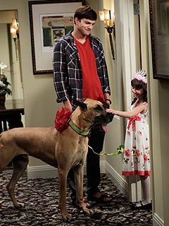 Ashton Kutcher Adopts a (Huge) Dog – on TV! | Ashton Kutcher