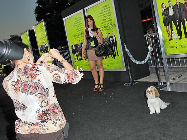 Bonny the Shih Tzu Has a Field Day at Seven Psychopaths Premiere| Dogs, Seven Psychopaths, Christopher Walken, Ozzy Osbourne, Sharon Osbourne
