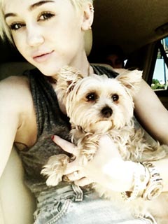 Miley Cyrus Heartbroken After Dog Lila Passes Away | Miley Cyrus