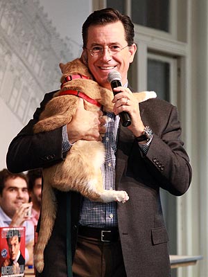 Stephen Colbert Hugs a Cat at Book Signing | Stephen Colbert
