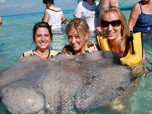 Stingray Photobomb: See the Before and After