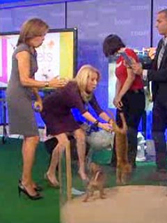 Kathie Lee Gifford Drops Puppy on TV, Is a 'Wreck'