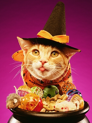 Petco 2012 Halloween Contest: Win $5,000