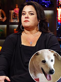Rosie O'Donnell's Dog Dies | Rosie O'Donnell