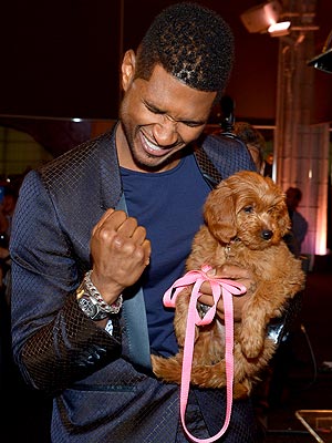 Usher Pays $12,000 for Goldendoodle at Auction