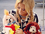 PHOTOS: Stars Dress Their Dogs for Halloween