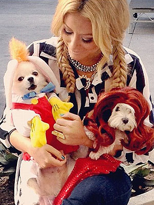 PHOTOS: Stars Dress Their Dogs for Halloween