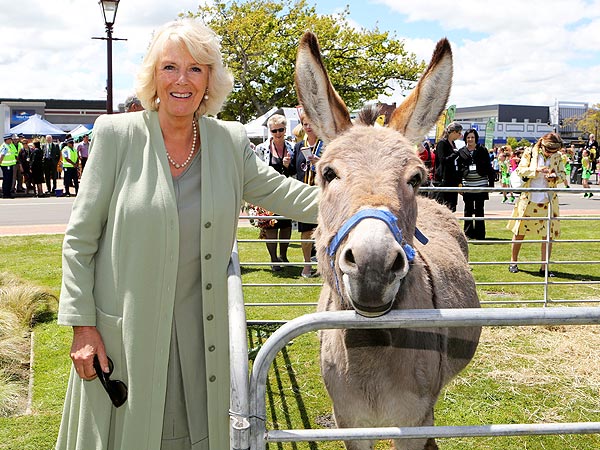 Camilla, Duchess of Cornwall, Meets a Kiwi Bird| Exotic Animals & Pets, Camilla Parker Bowles