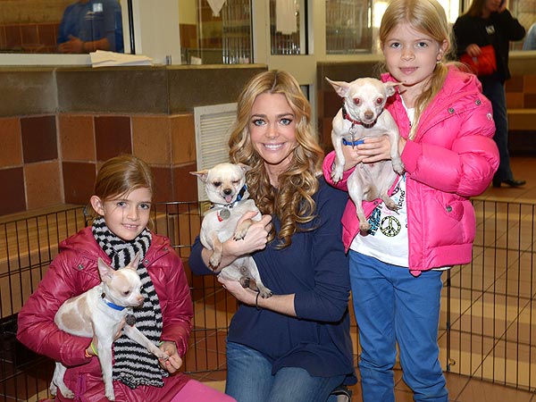 Denise Richards: Homeless Pets Need Even More Help After Sandy| Animal Charities, Stars and Pets, Denise Richards