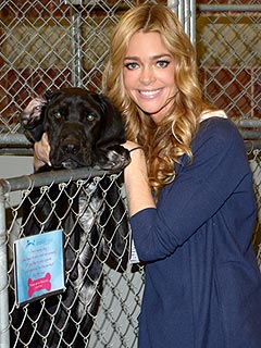 Denise Richards: Homeless Pets Need Even More Help After Sandy
