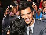 Taylor Lautner Meets Military Dog at Breaking Dawn Premiere | Taylor Lautner
