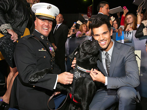 Taylor Lautner Meets Military Dog at Breaking Dawn Premiere
