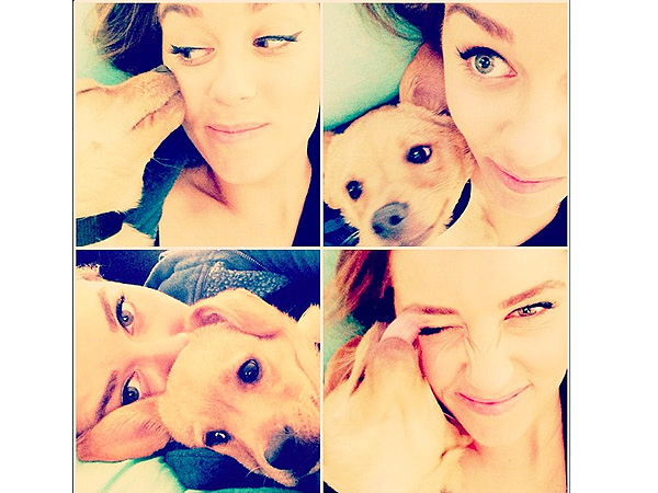 Lauren Conrad's Dog Pre-Games for Thanksgiving Laziness| Stars and Pets, Dogs, Lauren Conrad