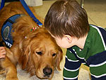 'Comfort Dogs' Help Those Grieving in Newtown