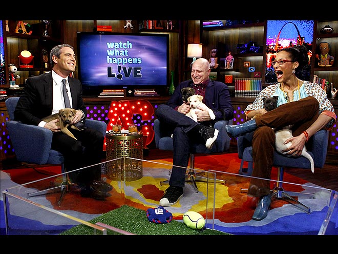 ANDY COHEN photo | Andy Cohen, Tom Colicchio