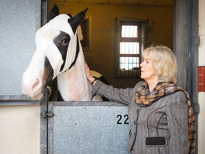 CAMILLA, DUCHESS OF CORNWALL photo | Camilla Parker Bowles