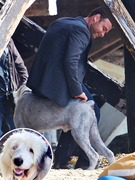 LIEV SCHREIBER photo | Liev Schreiber