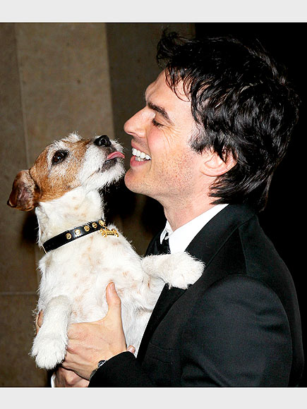 IAN SOMERHALDER & UGGIE photo | Uggie, Ian Somerhalder