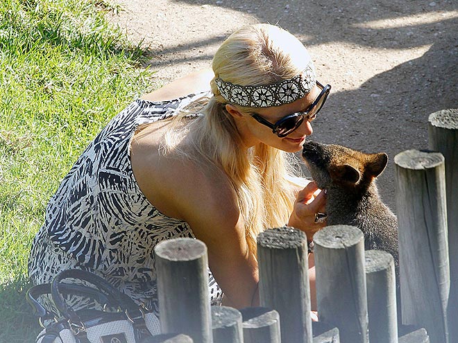 PARIS HILTON photo | Paris Hilton