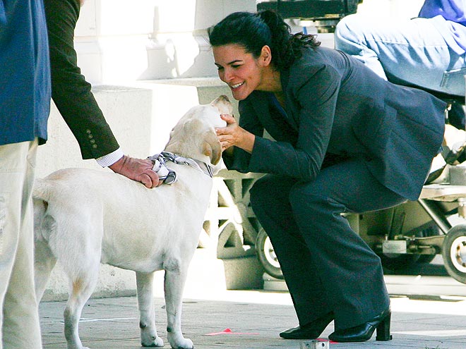 ANGIE HARMON photo | Angie Harmon