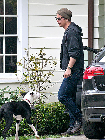 JOSH HARTNETT photo | Josh Hartnett