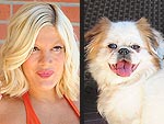 Tori Spelling