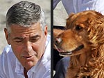 George Clooney