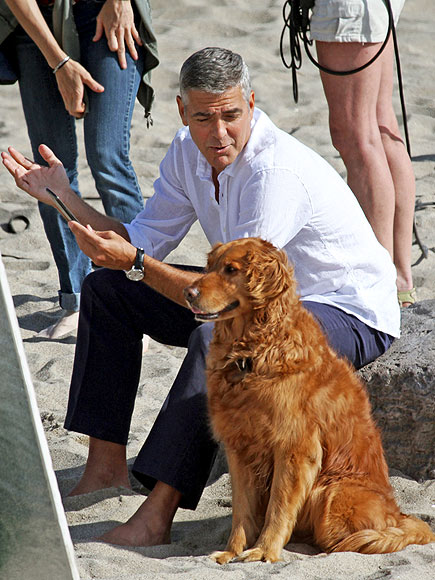 GEORGE CLOONEY photo | George Clooney