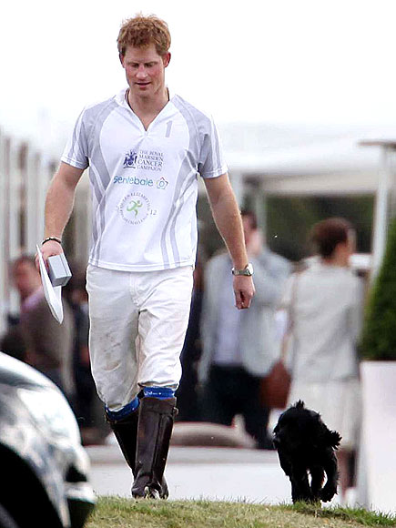 PRINCE HARRY photo | Prince Harry