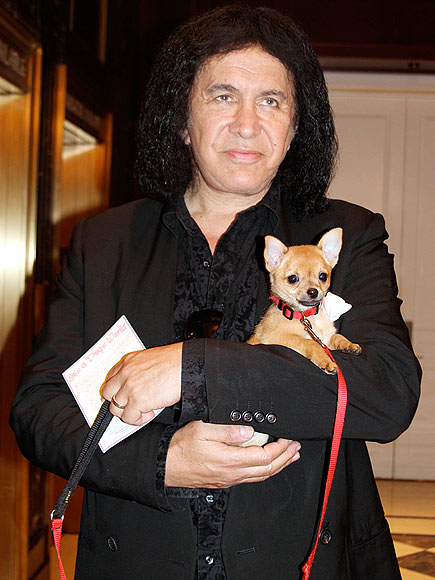 GENE SIMMONS photo | Gene Simmons