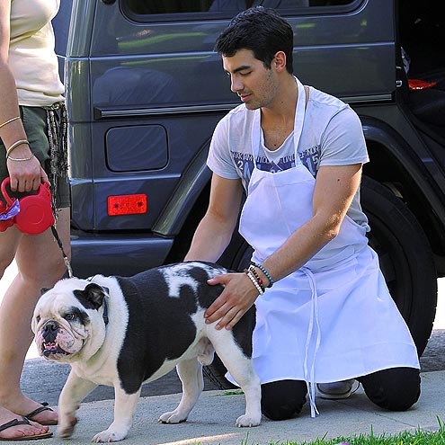 JOE JONAS photo | Joe Jonas