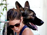 Stars and Their Pets: Nikki's Birthday Boys | Nikki Reed