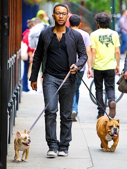 JOHN LEGEND photo | John Legend