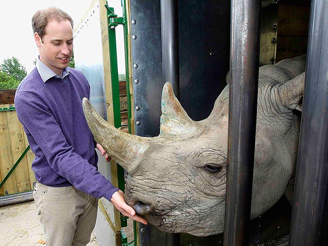 PRINCE WILLIAM photo | Prince William