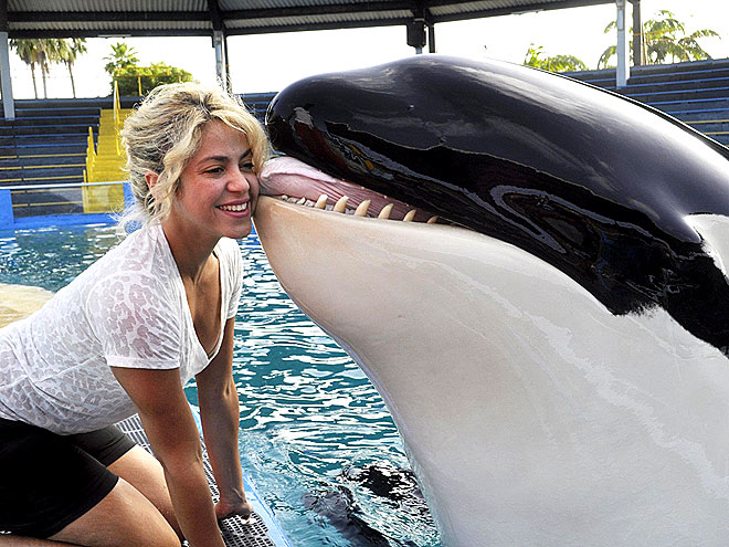 SHAKIRA photo | Shakira