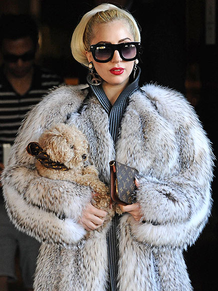 LADY GAGA photo | Lady Gaga