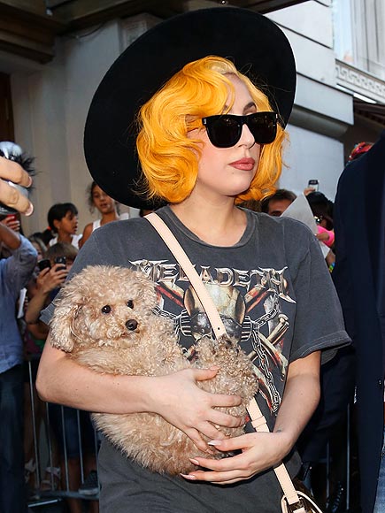 LADY GAGA photo | Lady Gaga