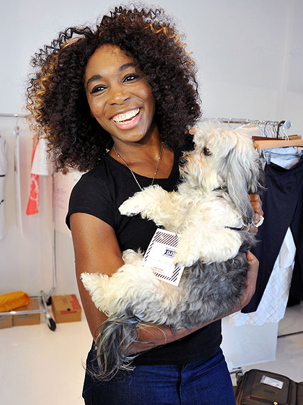 VENUS WILLIAMS photo | Venus Williams
