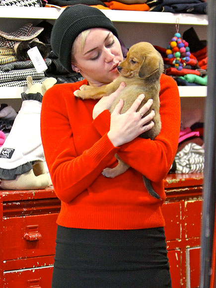 MILEY CYRUS photo | Miley Cyrus