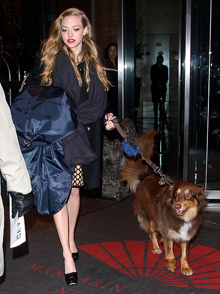 AMANDA SEYFRIED photo | Amanda Seyfried
