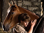 War Horse