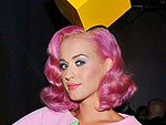 Hunger Games Fashion Wannabes | Katy Perry