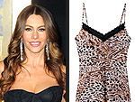 Valentine's Day Lingerie Stars Love | Sofia Vergara