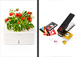 8 Presents You've Never Given Before