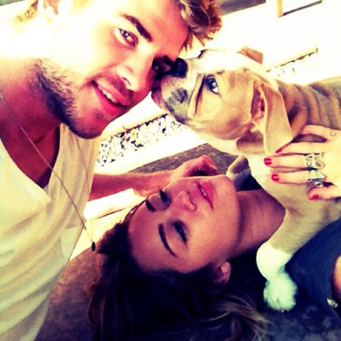 Miley Cyrus's Year of the Dog