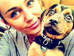 Miley's Year of the Dog | Miley Cyrus