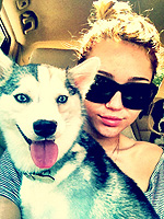 Miley's Year of the Dog