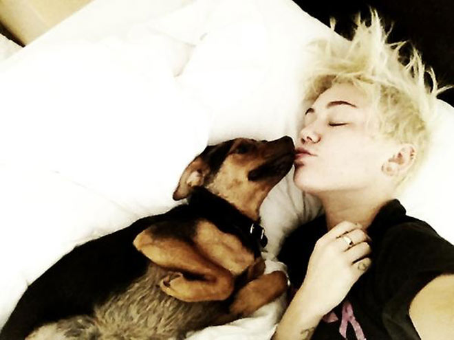MILEY CYRUS photo | Miley Cyrus