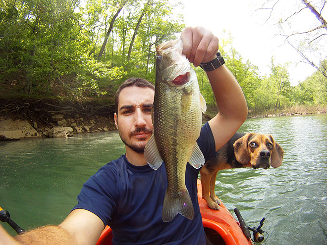 10 Craziest Animal Photos of 2012